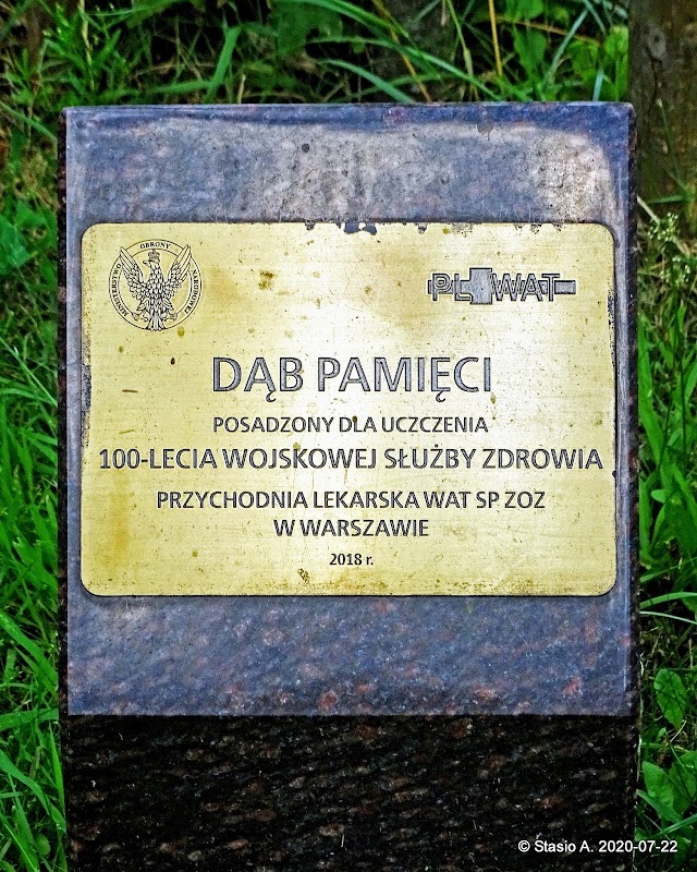 Dąb Pamięci