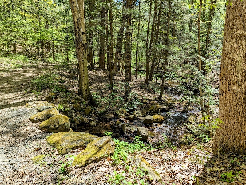 Naugatuck State Forest