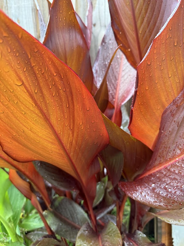 Project Management Concepts