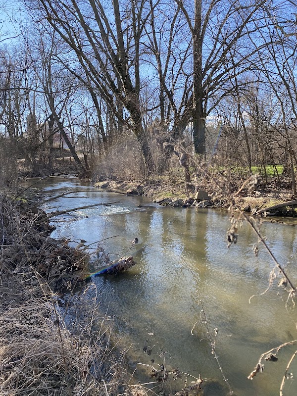 Donegal Creek (Flyfishing Only)