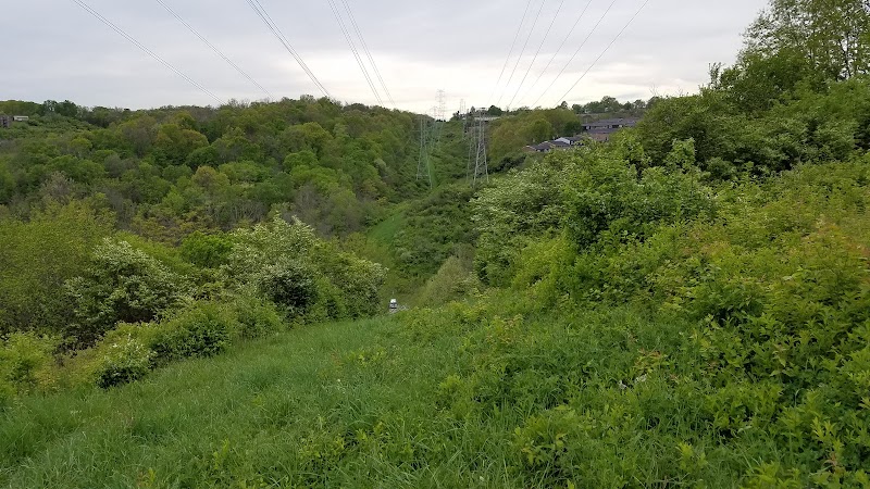 Fox Preserve