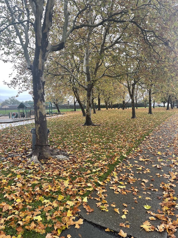 Matanzas Park