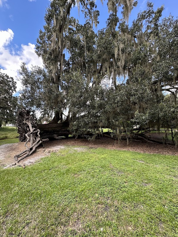Shingle Creek Regional Park - Babb landing