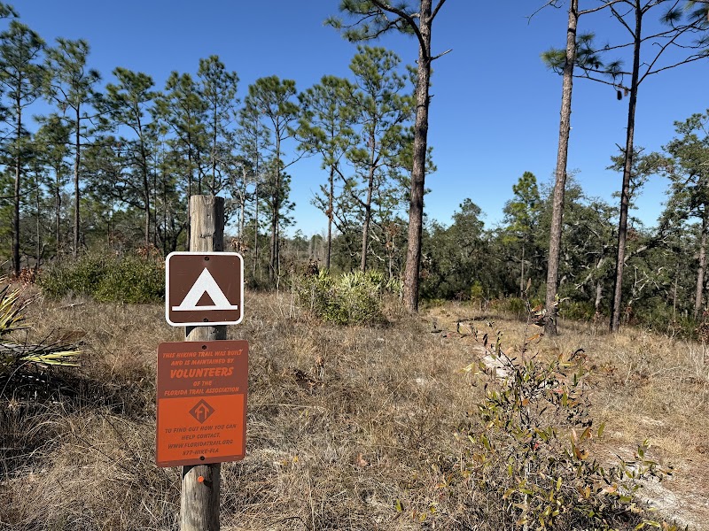 SWFWMD Concession Stand Campsite