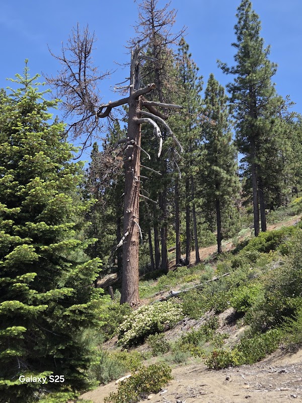 Incline Village East Entrance Park