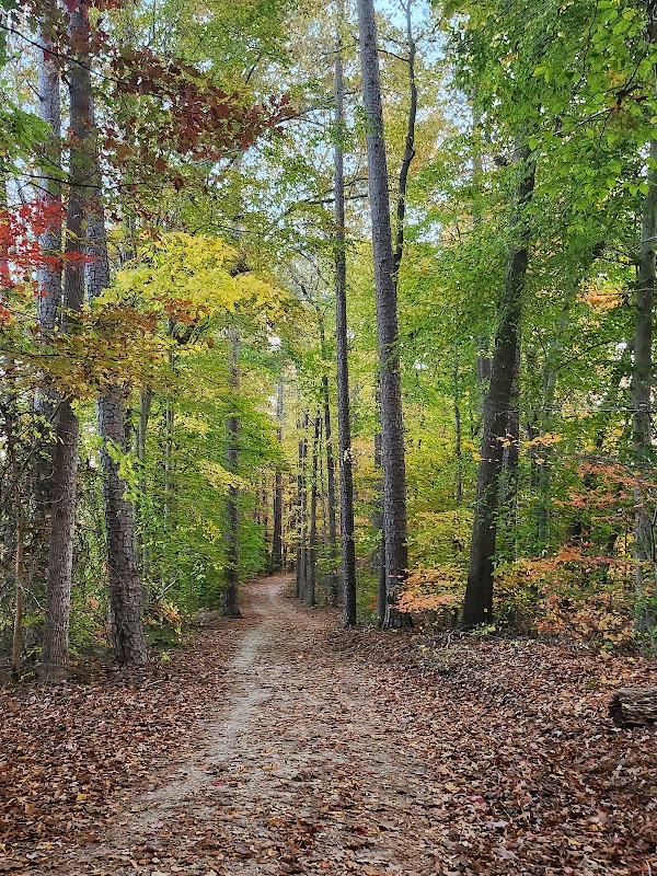 Al Buehler Trail: Public Parking
