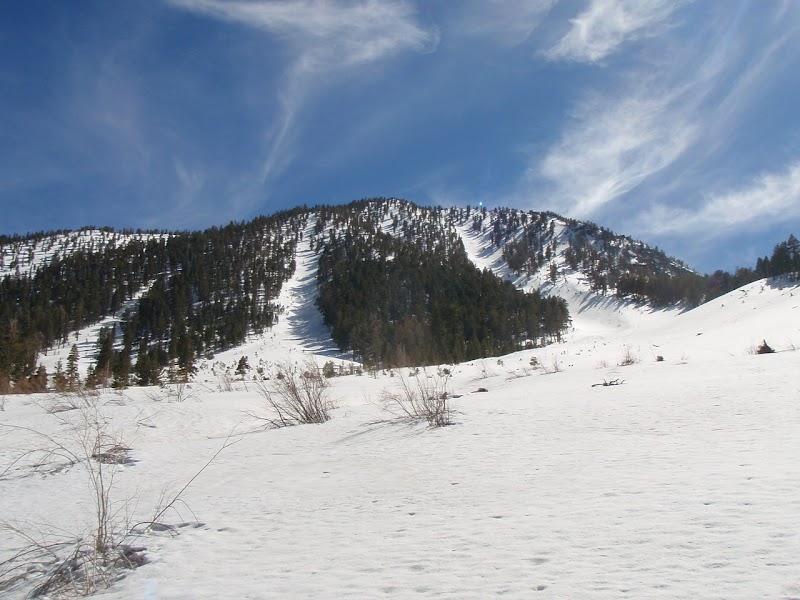 Charlton Peak
