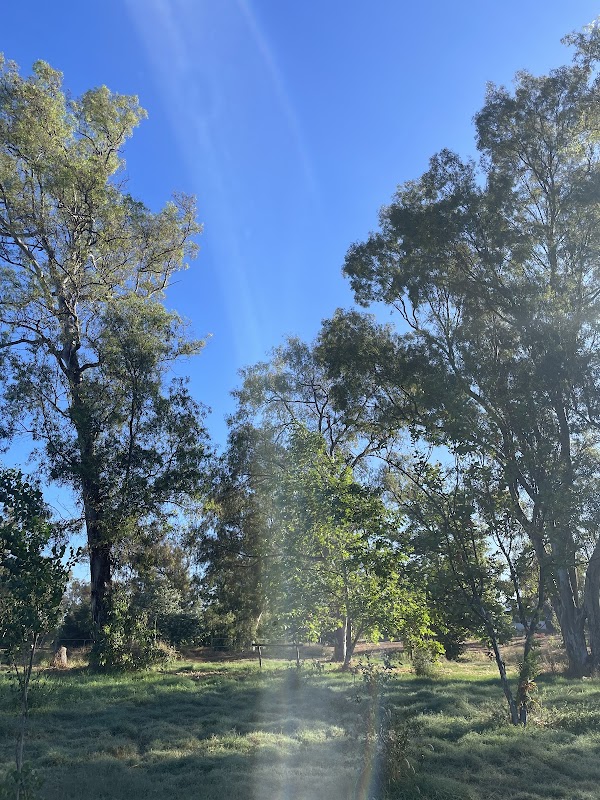 South Lane County Park