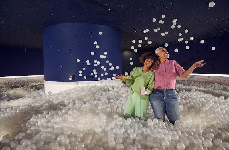 Color Factory Houston