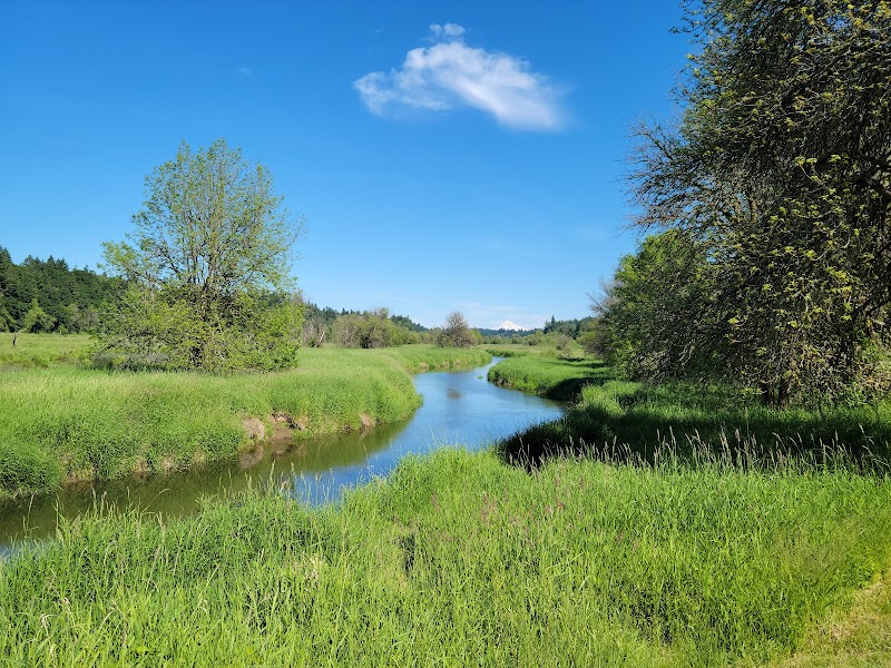 Salmon Creek Greenway Trail