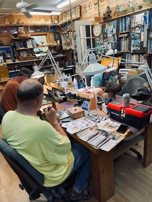 Wildfowl Carving Live