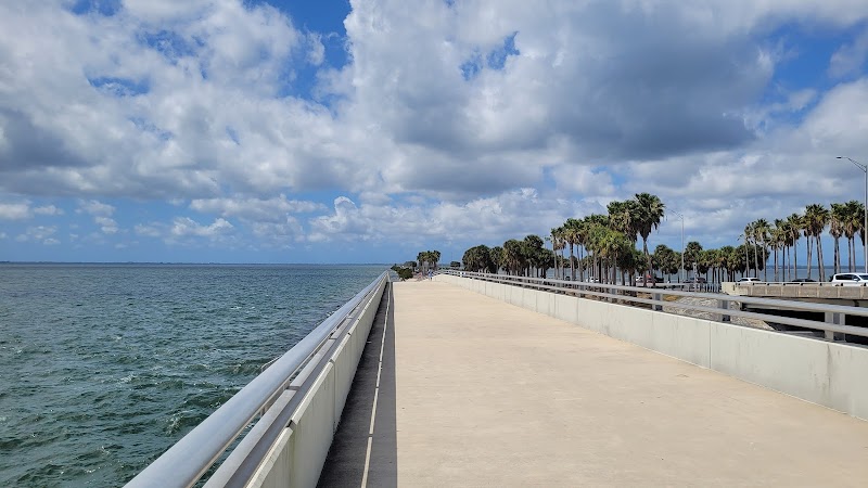 Courtney Campbell Causeway - Shelter