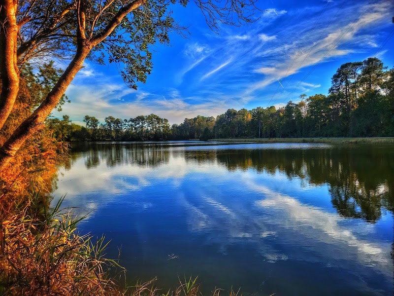 Al Bungard Conservation Area