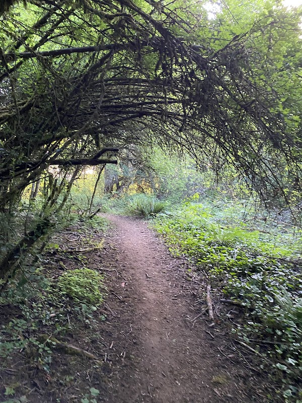Kelly Butte Natural Area
