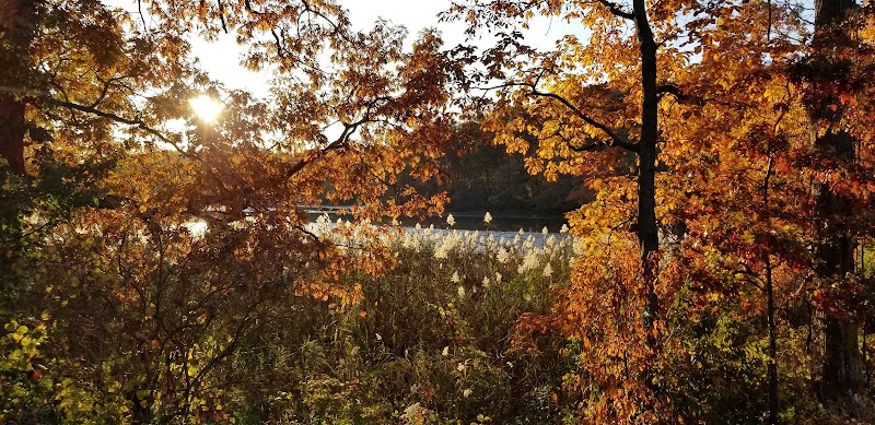 Waterford Landing Scenic Overlook