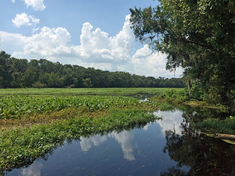 Wilson's Landing Park
