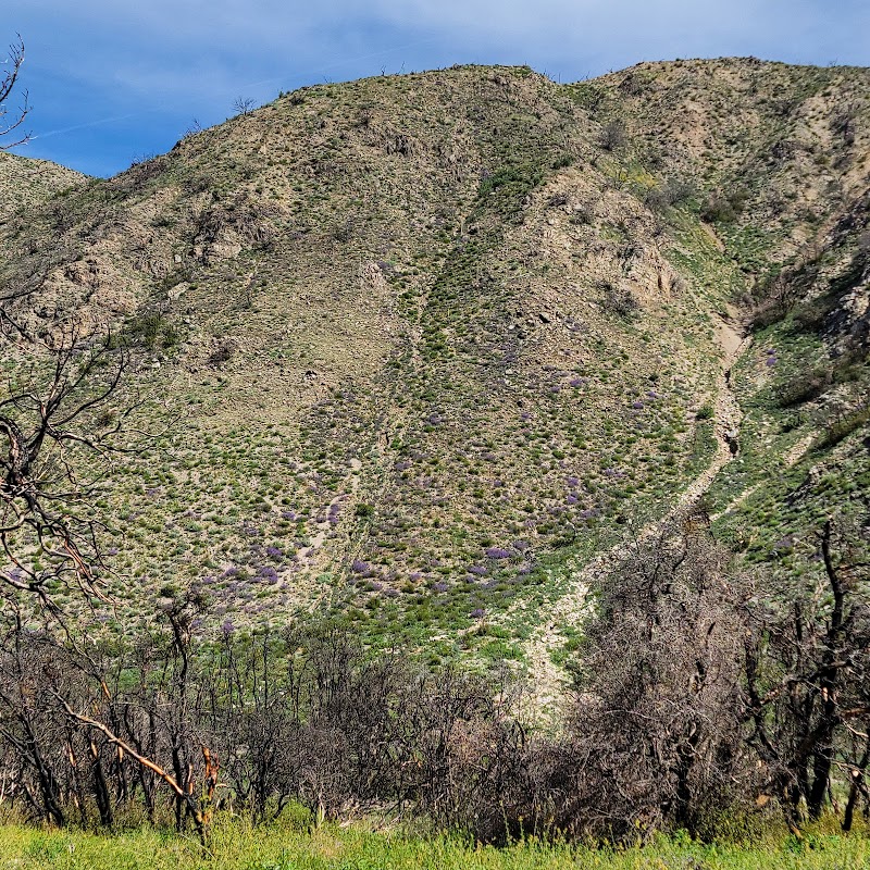 Bearpaw Reserve