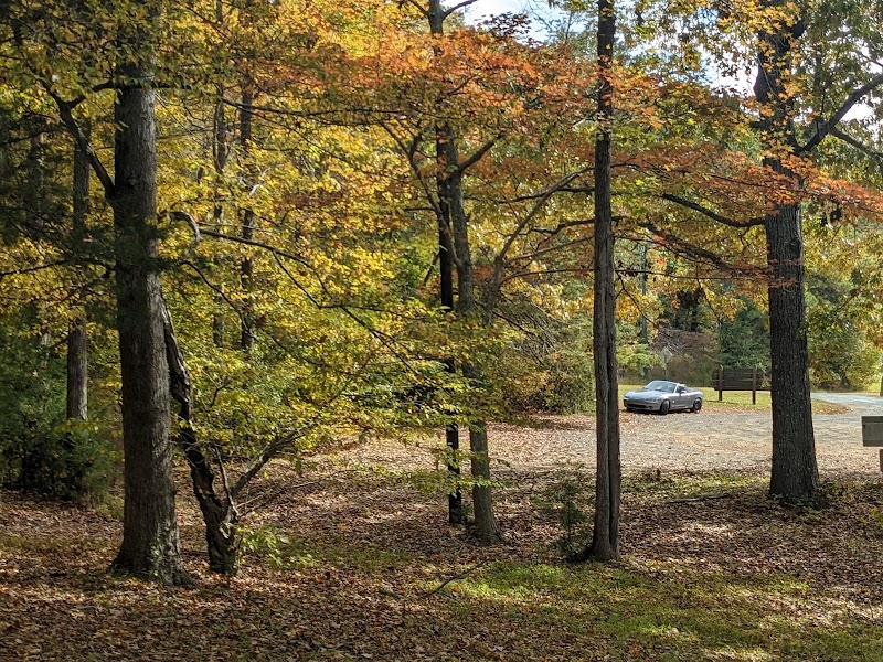 Wilkins Road Recreational Area