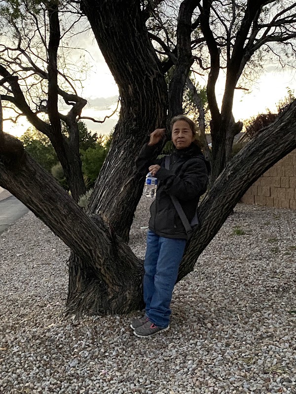 Terrazas Park