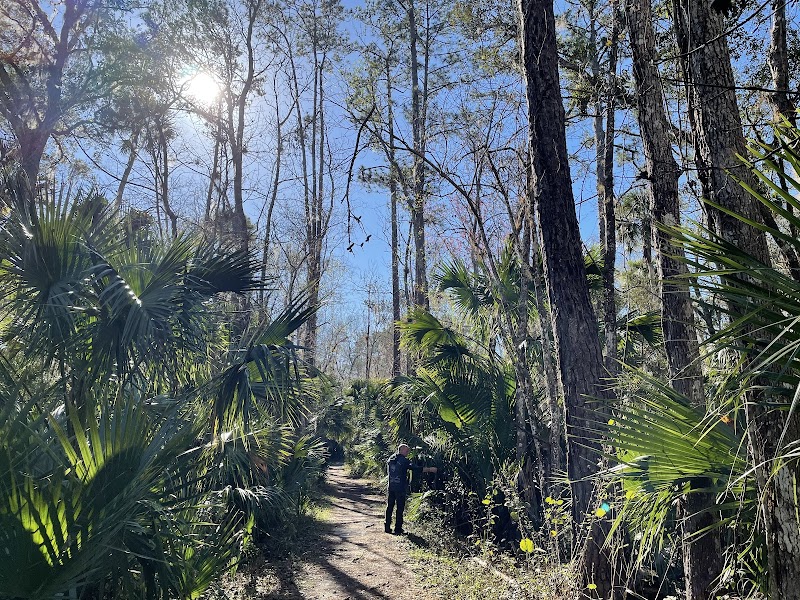 Black Bear Wilderness Trailhead