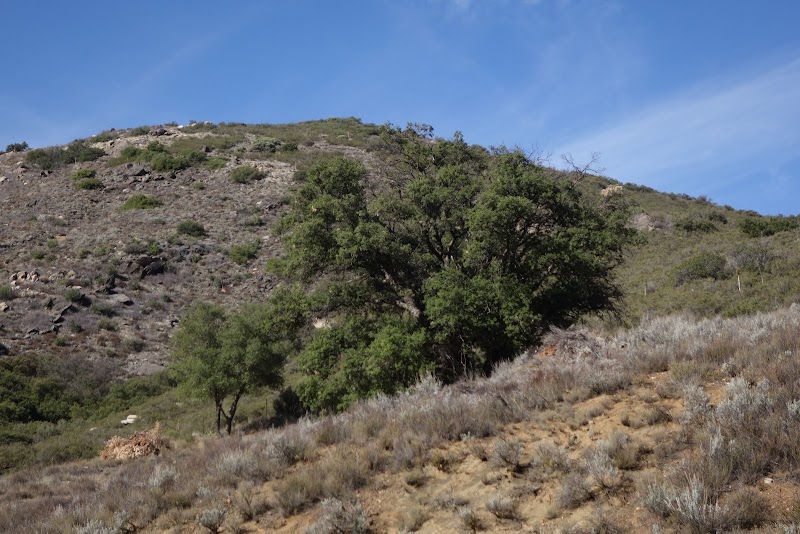 Pine Creek Wilderness