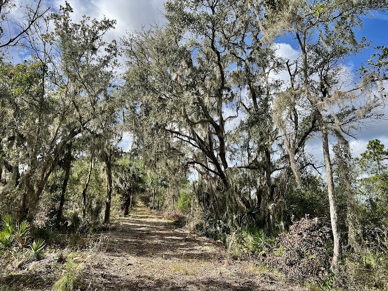 Balm Boyette Scrub Nature Preserve - West
