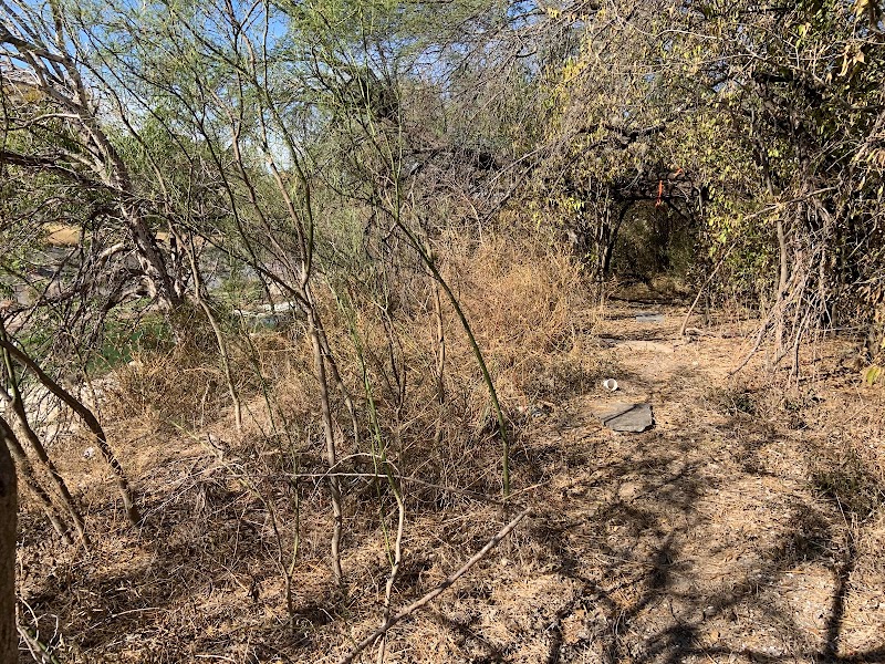 Olmos Creek Community Park