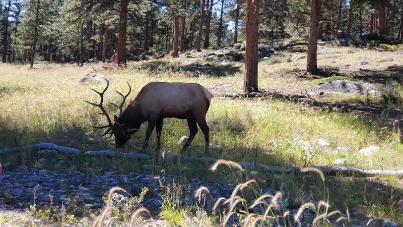 Rocky Mountain Conservancy - Headquarters