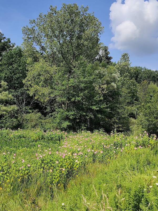 Monarch Bluff Picnic Area