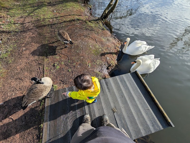 Llantarham ponds