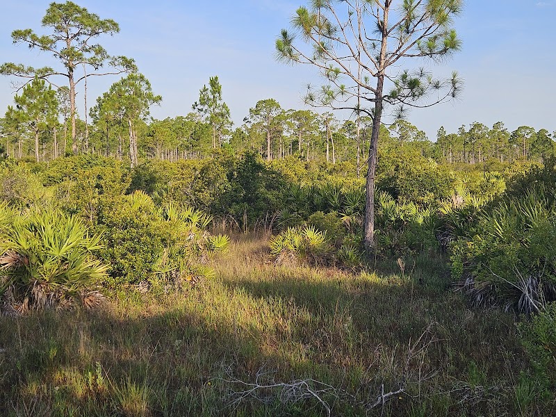Pop Ash Creek Preserve