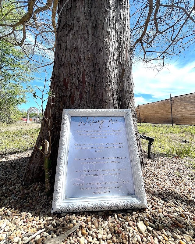 Wishing Tree