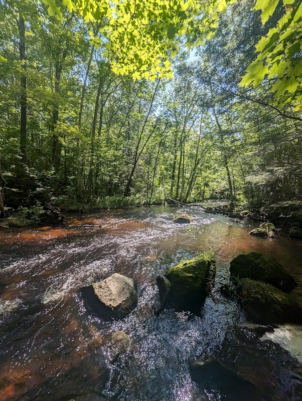 Upper Little Wolf State Natural Area
