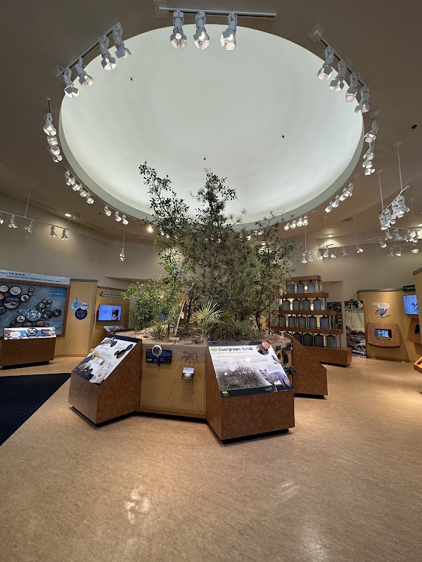 Lyonia Environmental Center