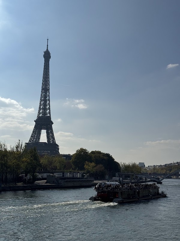 Eiffel Reflections by the Seine