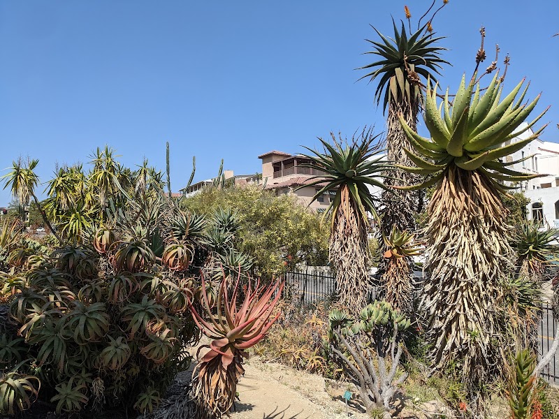 UCLA Mathias Botanical Garden