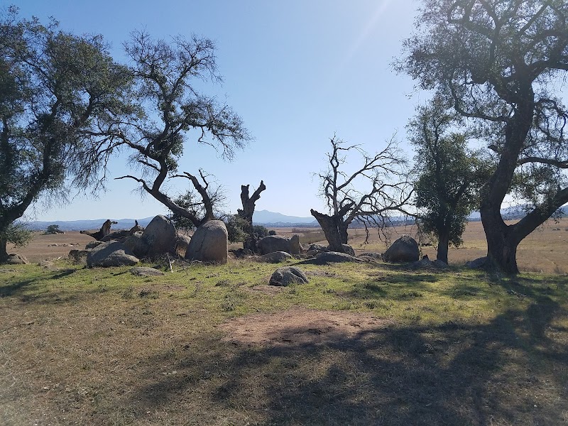 Ramona Grasslands Preserve