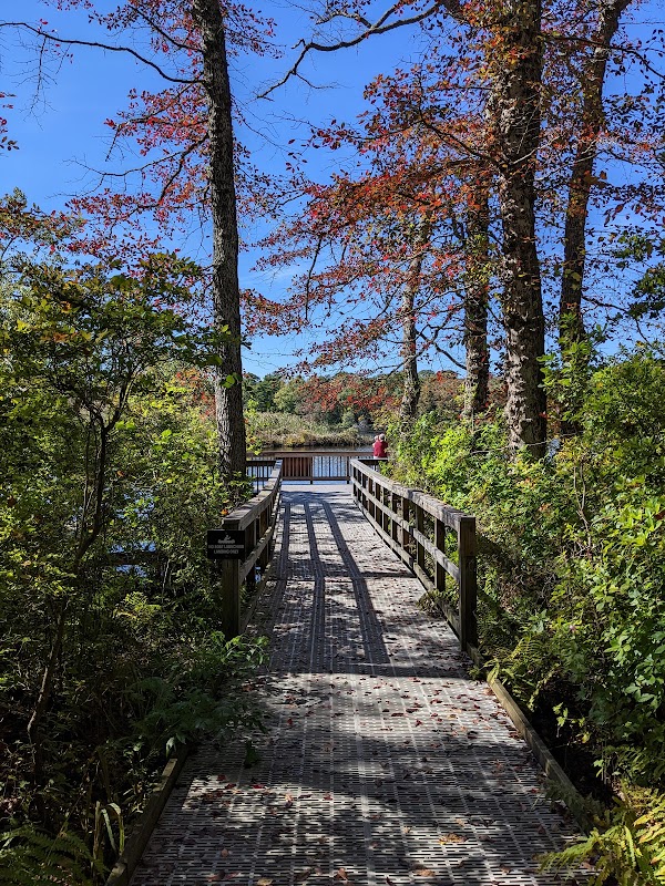 Wertheim National Wildlife Refuge Marsh Overlook #2