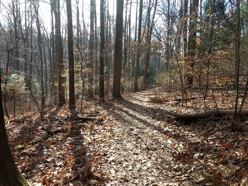 Nolde Forest - Sawmill