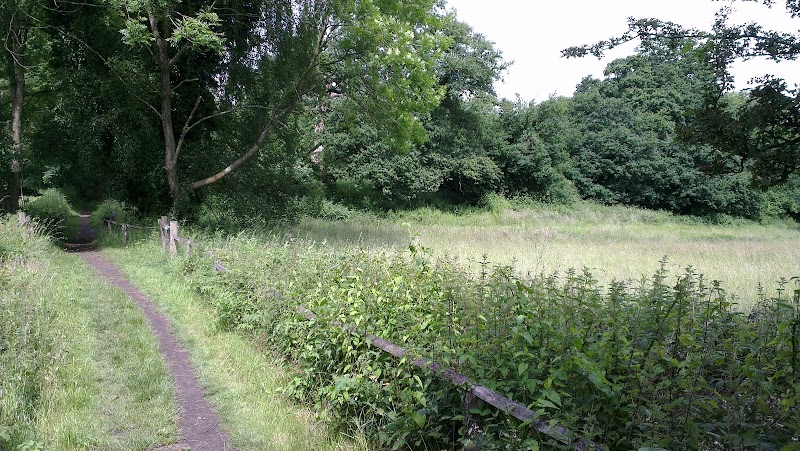 Ravensbourne Open Space