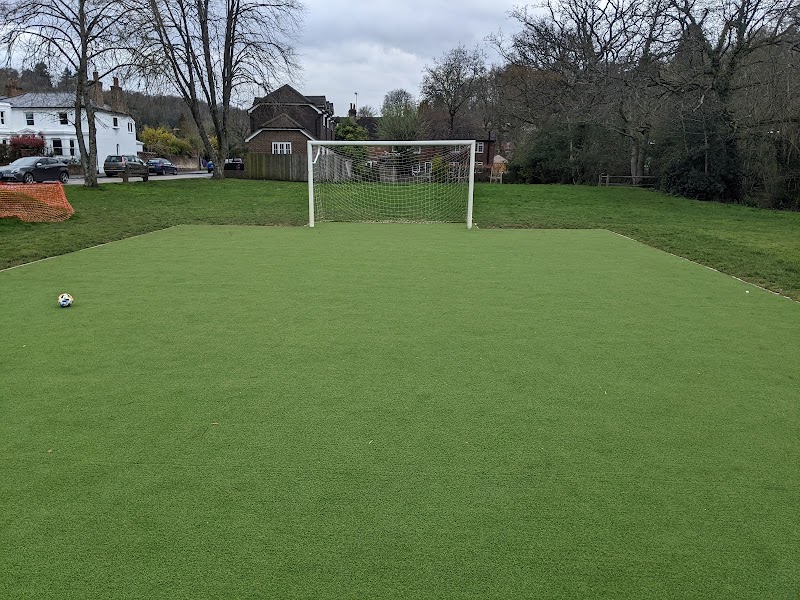 Lion green Astroturf Football pitch