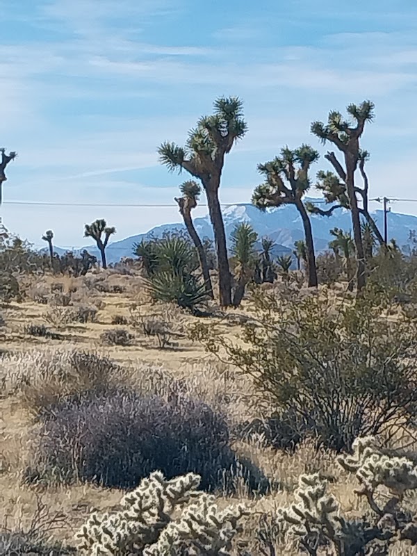 Joshua Retreat Center Labyrinth