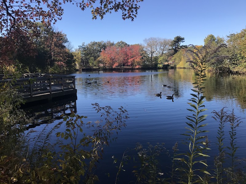 Herricks Pond