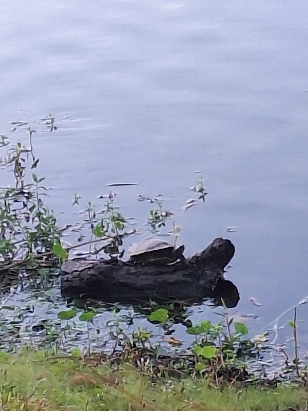 Crippen Lake