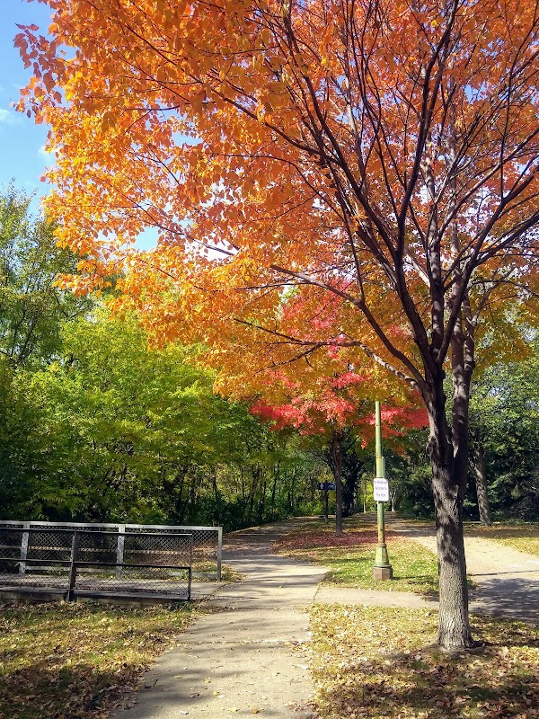 Shingle Creek Park