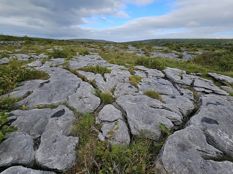 Heart of Burren Walks