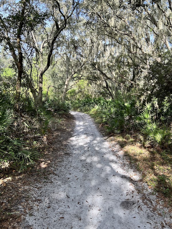 Rhodine Scrub Nature Preserve