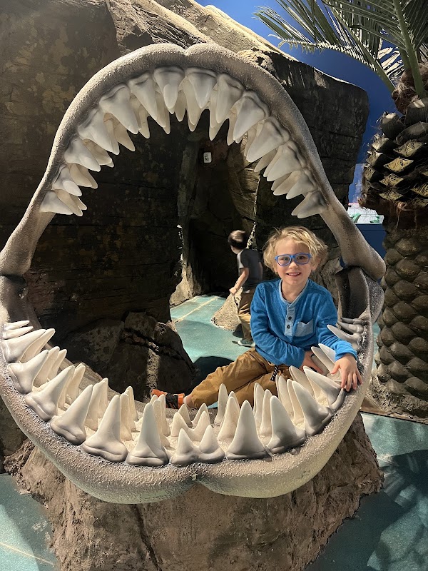 Blue Zoo Aquarium Des Moines