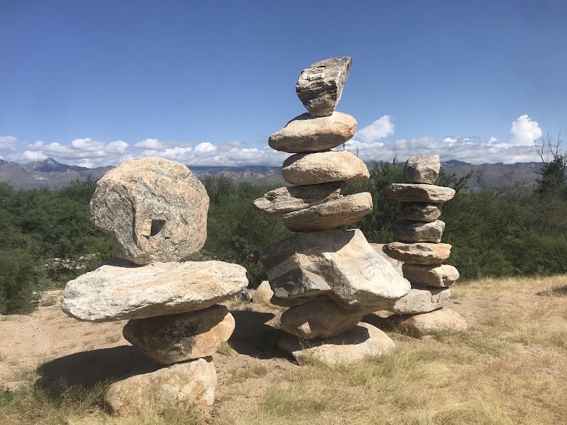 The Eyes of the Future