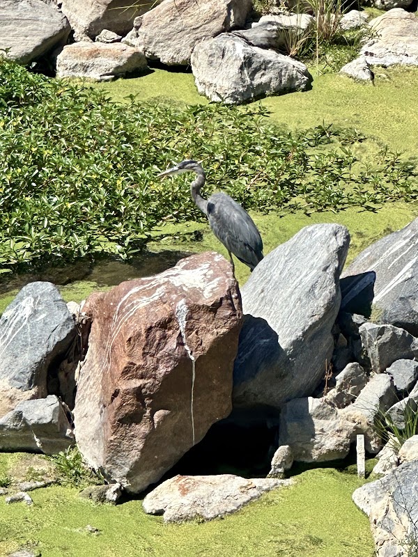 San Diego Creek Bicycle Path